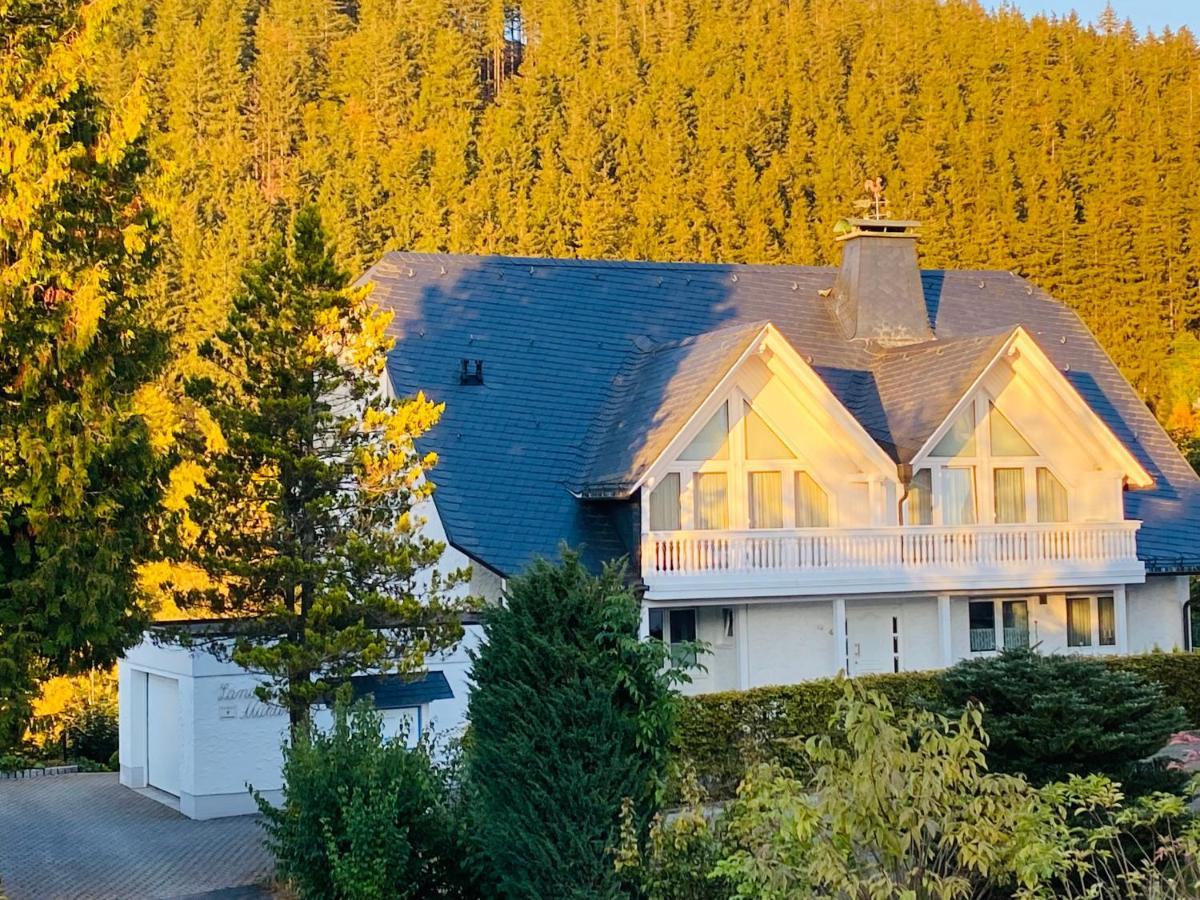 Landhaus Muehlenberg Willingen (Upland) Exterior foto