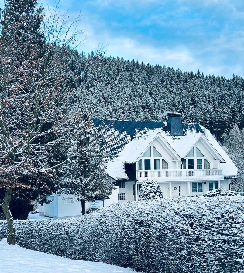 Landhaus Muehlenberg Willingen (Upland) Exterior foto