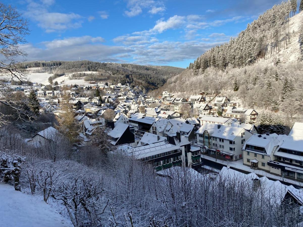 Landhaus Muehlenberg Willingen (Upland) Exterior foto